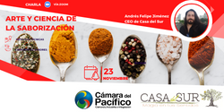 tl_files/images/Eventos 2022/WEBINAR CASA DEL SUR/Banner casa del sur (250 × 125 px).png